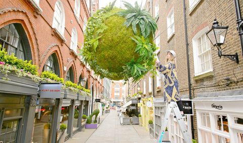 Anna Garforth, instalação do Rise Kokedama em St Christopher's Place, Londres