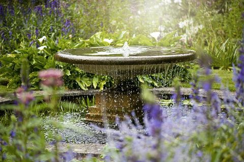 Lindo jardim de verão com fonte de água entre as flores, sob o sol nebuloso