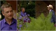 Controvérsia do Chelsea Flower Show? Chris Beardshaw ganha medalha de Prata-Dourada pelo Morgan Stanley Garden