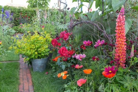 O jardim de corte de cor Anneka Rice. Desenhado por: Sarah Raven. RHS Chelsea Flower Show 2017. BBC Feel Good Garden