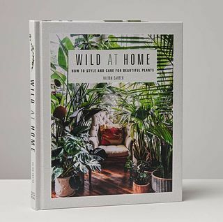 Selvagem em casa: livro de estilo e cuidados para lindas plantas