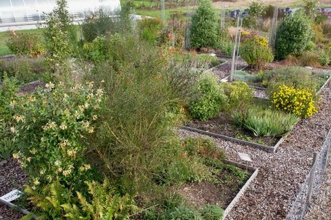 As plantas para erros pesquisam camas na vila de Deers Farm Wisley.