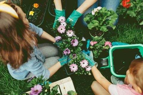 Família plantando flores juntos