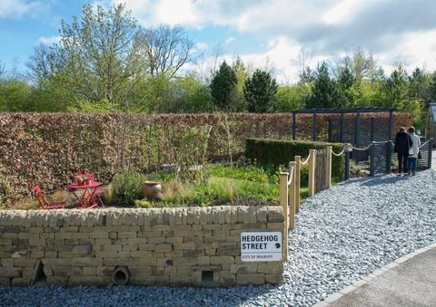 O primeiro jardim permanente da Hedgehog Street no Reino Unido foi inaugurado em RHS Harlow Carr, North Yorkshire.