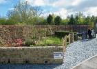 Foi inaugurado o primeiro jardim permanente da Hedgehog Street no Reino Unido