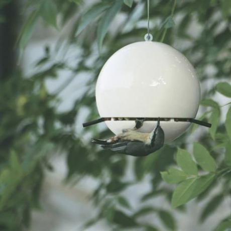 Alimentador de amendoim verde e azul Birdball - Branco