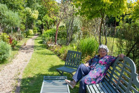 jardim do ano jardim com tema mediterrâneo no norte de londres casa com terraço