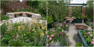 rhs hampton court palace garden festival jardins e vencedores