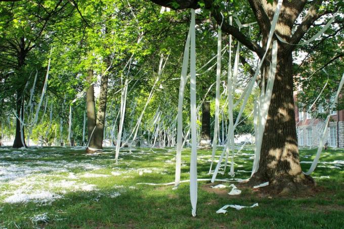 pegadinha de papel tiolet do ensino médio