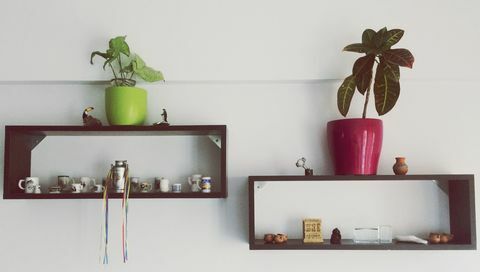 Vasos de plantas nas prateleiras em casa