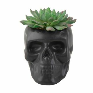 Succulent preto cerâmico matte do crânio