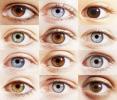 Se você tem olhos azuis, eles são realmente marrons e você simplesmente não percebe
