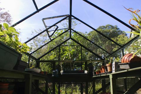 Interior da estufa do jardim com aberturas de abertura automática, Reino Unido