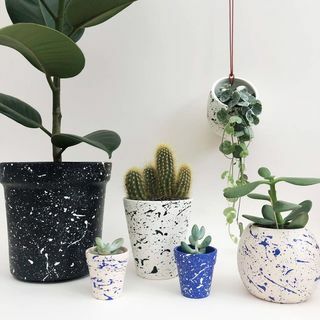 Mini Splatter Plant Pots Escolha Suas Cores