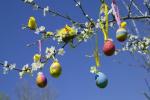 Idéias da árvore de Páscoa: Como fazer e onde comprar árvores de ovos de Páscoa
