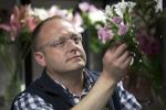 Florista-chefe do Morrisons Flowerworld revela o segredo para flores perfeitas