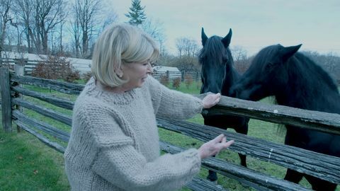 casa e fazenda de Martha Stewart nos berços da mtv