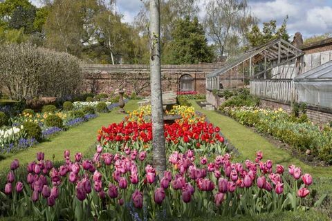 Dunsborough Park - Surrey - jardins - Savills