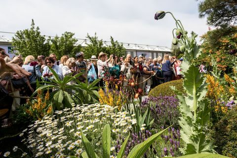 Multidões visitam o Chelsea Flower Show em Londres