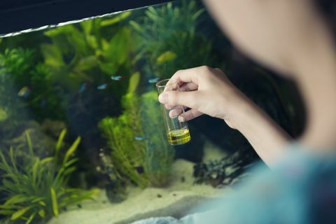 garota usando um kit de teste químico para medir a qualidade da água em um aquário doméstico