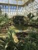 Primeiro, veja a recém-restaurada Casa Temperada de Kew Gardens - a maior estufa do mundo