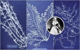 Dia Internacional da Mulher: o papel de parede botânico inspirado em Anna Atkins é simplesmente elegante