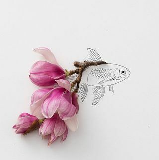 Goldfish No. 1 Photography