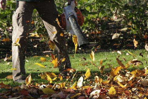 Soprador de folhas no jardim