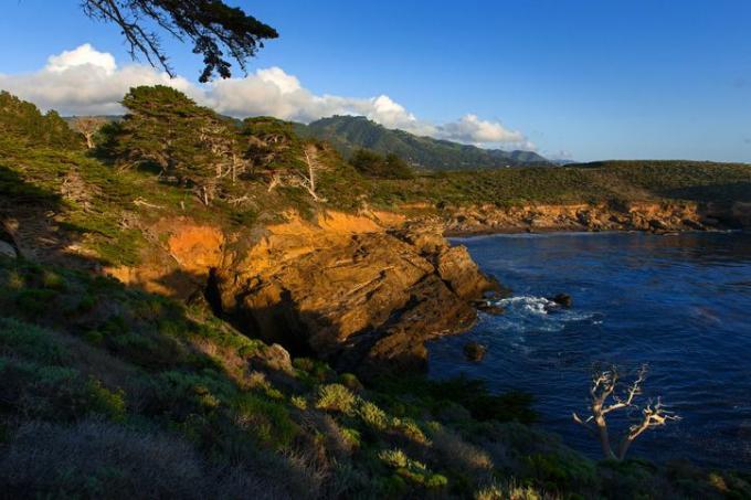 litoral e mar, point lobos state reserva natural pacific rodovia, califórnia, eua