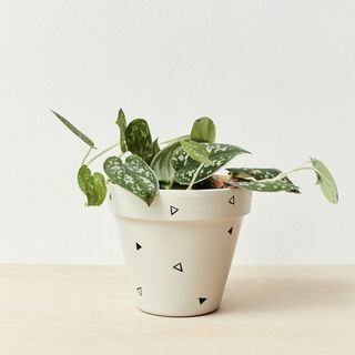Vaso de plantas interior pintado à mão 