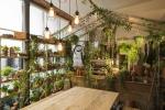 Airbnb e Pantone colaboram na casa Greenery 'Outside In' em Londres