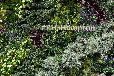 parede viva na exposição de flores do palácio rhs hampton court 2018