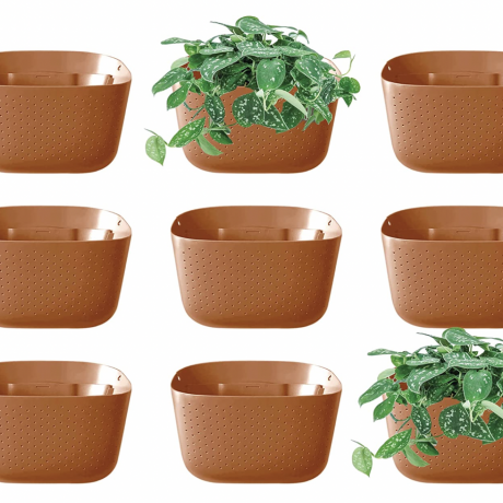 WallyGrow Eco Wall Planters (conjunto de nove) 