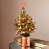 Bloom & Wild está vendendo novas árvores de Natal de caixas de correio para 2019