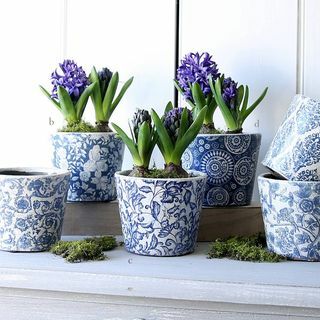 Vaso de planta com estampa floral holandesa