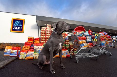 Aldi - Pet Event range - alimentação