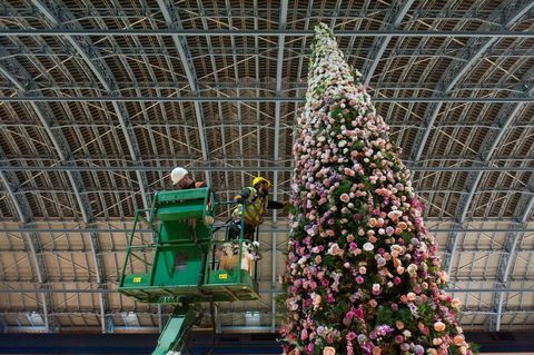 Árvore de Natal floral de 47 pés revelada na estação internacional St Pancras, em Londres.