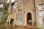 As girafas vão acompanhá-lo no café da manhã através de uma janela neste encantador hotel senhorial
