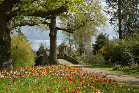 Dunsborough Park - Surrey - flores - Savills