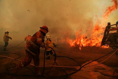 Incêndios florestais continuam a queimar em toda a NSW com facilidade nas condições de incêndio catastróficas