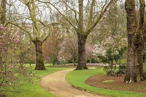 jardins do palácio de buckingham