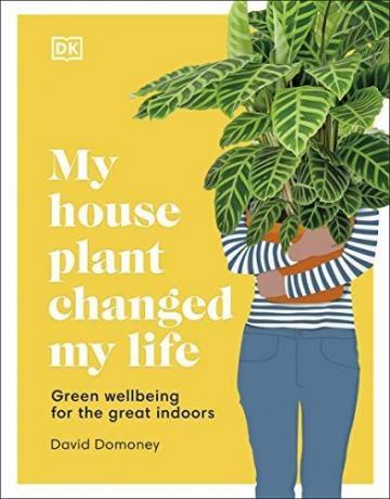 A planta da minha casa mudou minha vida: bem-estar ecológico para ambientes internos