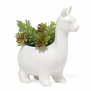 Lloyd the Llama Ceramic Plantter