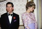 Cartas do príncipe Philip para a princesa Diana