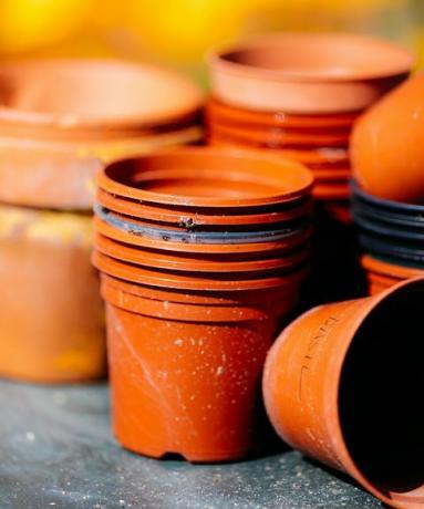 grupo de vasos de plantas em um jardim