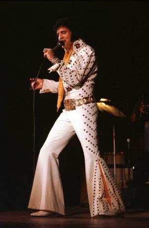 Elvis Presley em 1974