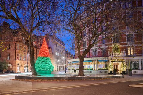 A árvore de Natal de Connaught 2018 foto