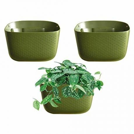 WallyGrow Eco Wall Planters (conjunto de três) 