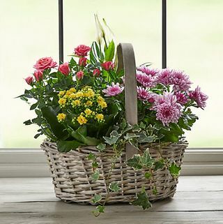 Grande cesta de flores de primavera