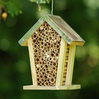 Caixa de ninho de abelhas com telhado de zinco